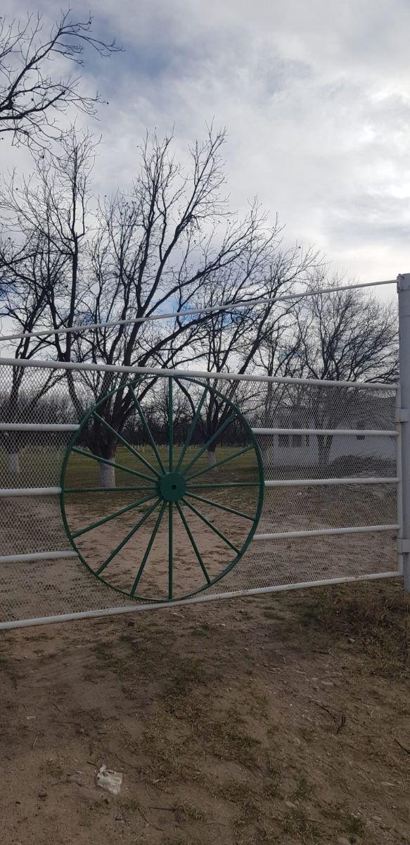 Nogalera (+ 50 Años) en Venta Ciudad Camargo Chihuahua, $6,750,000
