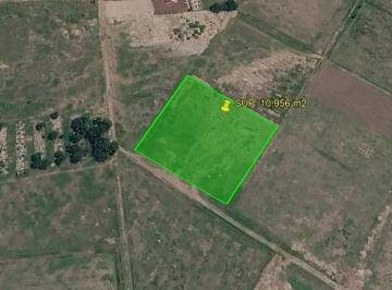 Terreno / Lote · 10956m² · Terreno en Venta 10,956 m² en Nextlalpan Cerca de Aifa y T - Mex Park