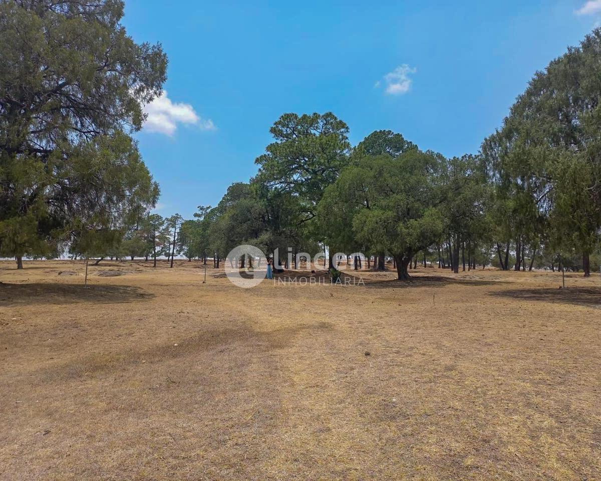 Rustic Land for Sale in Santa Clara Alpuyeca, Haras del Bosque Area, Puebla.