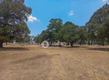 Terreno / Lote · 495m² · Terreno Rústico en Venta en Santa Clara Alpuyeca, Zona Haras del Bosque, Puebla.