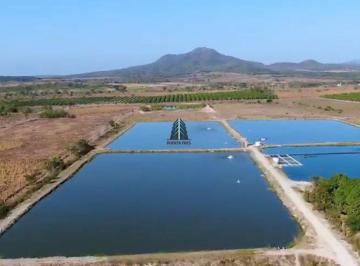 Rancho de 1 habitación, Tomatlán · Rancho Agrícola y Acuícola de 47 Hectáreas en Venta en Tomatlán