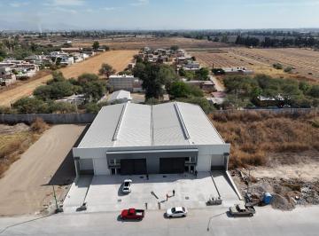 Local comercial · 1000m² · Local en Los Tepetates