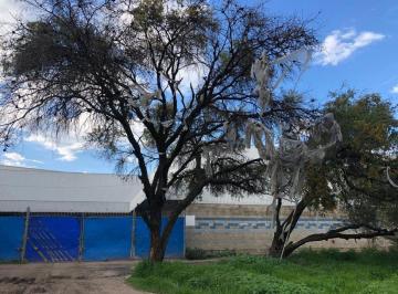 Bodega comercial · 4382m² · Estacionamiento - Industrial Julián de Obregón