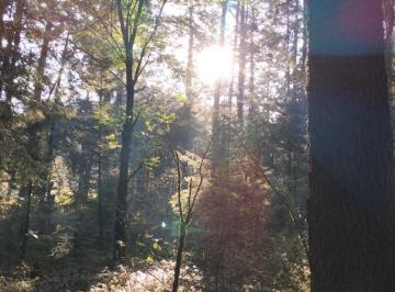 Terreno / Lote , Tlalpan · Terreno en El Ajusco Km 35.5 Espectacular