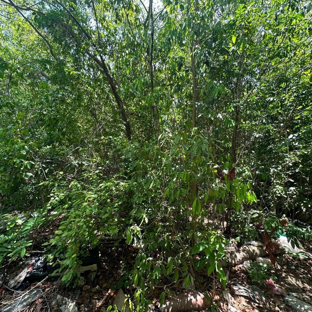Terreno Cerca de Via Cumbres