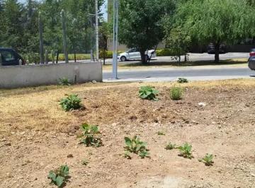 1 · Terreno en Venta en Bosque Real