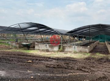 imagenPortal · Rancho en Venta en Pabellón de Arteaga