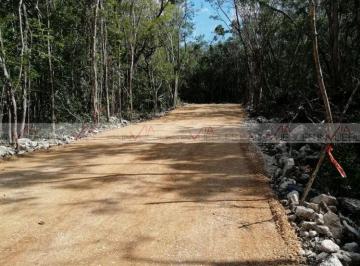 Terreno / Lote · 411m² · Terreno / Lote en Venta en Tulum