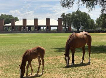 Terreno / Lote · 1327m² · Terreno en Venta en Balvanera, Querétaro