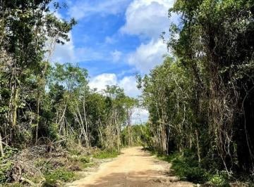 Terreno / Lote , Benito Juárez · Terreno en Venta – Inversión Ecológica en Cancún, Quintana Roo