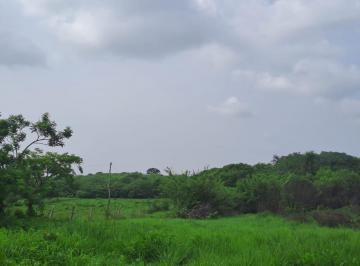 Foto 1 · Terreno en Venta 6.9 Hectáreas La Víbora, Tlalixcoyan, Veracruz