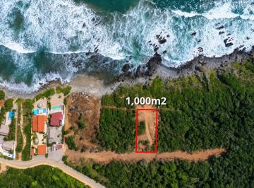 Terreno / Lote , La Unión de Isidoro Montes de Oca · Terreno en Venta en Troncones, Guerrero – 1,000 m²