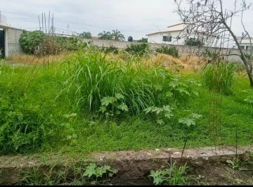 Terreno / Lote , Yautepec · Terreno de 200 m² en Boulevard La Perseverancia, Yautepec | $350,000 Negociable