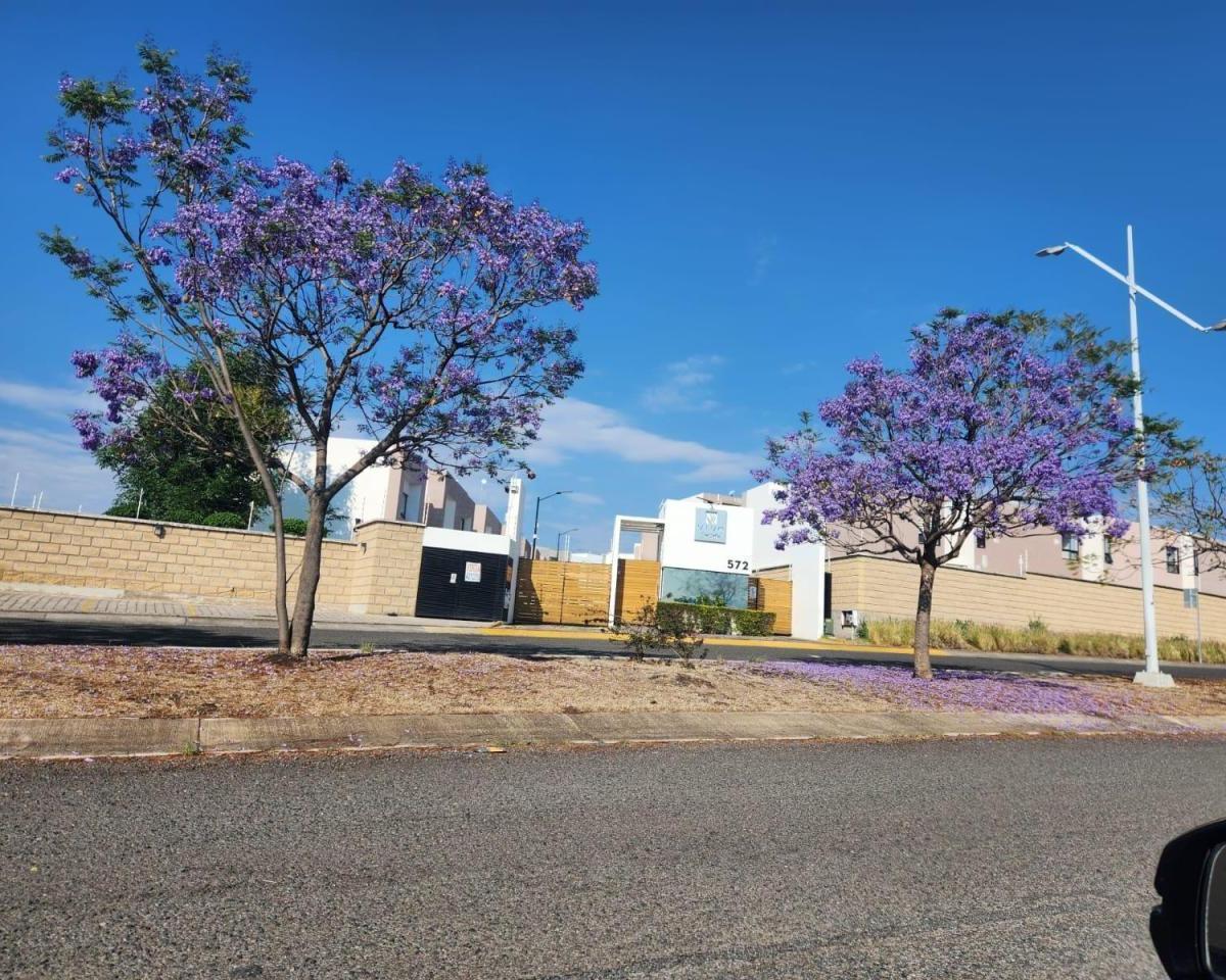 Flat Land for Sale in San Isidro, Juriquilla