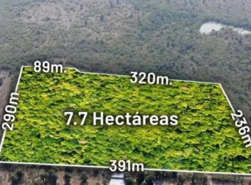 Foto 1 · Terreno en Venta en San Mateo Juárez Nuevo León 7.7ha