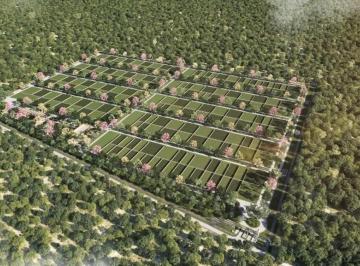 Foto 1 · Terreno Habitacional en Venta Dzemul Mérida Yucatán