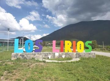 Foto 1 · Terreno Campestre en Venta en Los Lirios Sierra de Arteaga Coahuila Cabañas