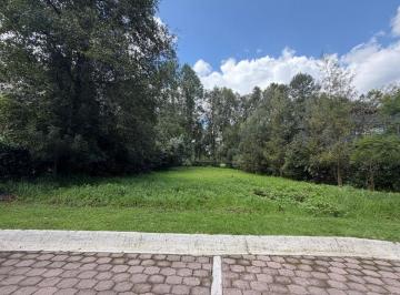 Terreno / Lote · 912m² · Ultimo Terreno de 912 m² en Venta Dentro de Rancho Avandaro