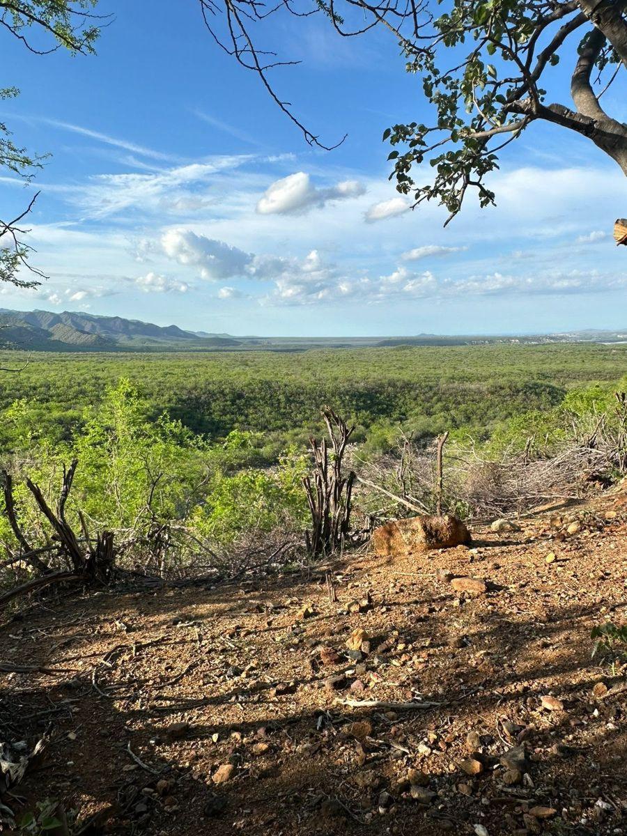 Land for Sale: Romerillal Sunset | Upper Miraflores Area