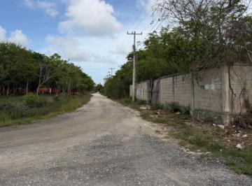 Terreno / Lote , Benito Juárez · Cancun Terreno en Renta