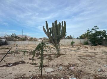 Terreno / Lote , Los Cabos · Terreno en Venta – El Zacatal, San José del Cabo
