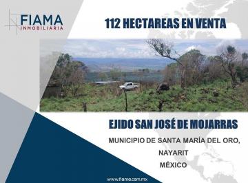 a60bed745c099b54d2f9030e7ee110467b5b1bb6b1048f5c97884677cf936a4f · 112 Hectáreas en Venta en Ejido San José de Mojarras, Municipio de Samao, Nay.