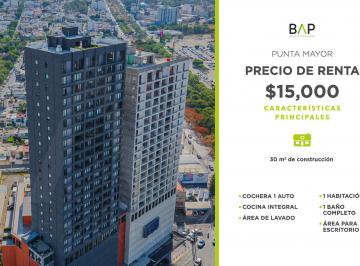Departamento de 1 habitación, León · Departamento de 30 m² con 1 Habitación en Renta en Torre Punta Mayor