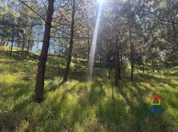 Terreno / Lote · 2000m² · Terreno en Congregacion Loma de Tablas