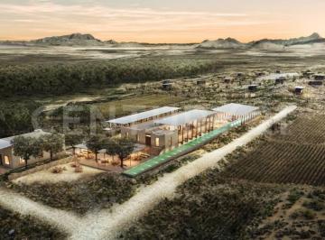 Terreno / Lote · 1500m² · Lote Campestre en Venta con Viñedo | Paredon, Coah.