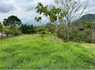 Rancho , Tecpatán · Rancho en Tecpatan Chiapas