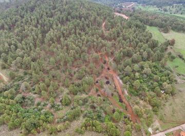 Terreno / Lote , Tapalpa · Terreno en Venta en Ferreria de Tula
