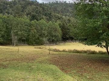 Terreno / Lote , Valle de Bravo · Rancho con Manantial en Los Saucos Valle de Bravo