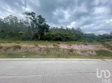 Terreno / Lote · 554m² · Terreno en Venta Fraccionamiento Arboledas, Tres Marías.