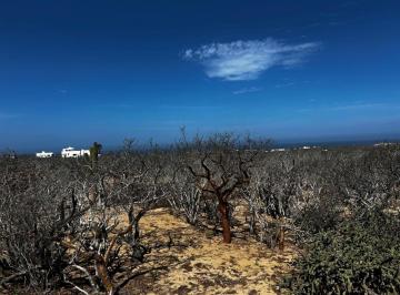 Terreno / Lote , Los Cabos · Se Vende Terreno Turístico en Playas de Migriño