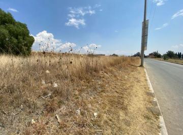 Terreno / Lote · 10004m² · Terreno - Poblado Comunal Santiago Villalta
