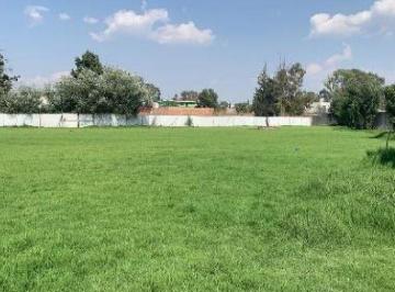 Terreno / Lote · 5954m² · Terreno en Pueblo Chipilo de Francisco Javier Mina