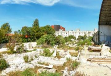 Terreno / Lote · 10595m² · Terreno - La Noria