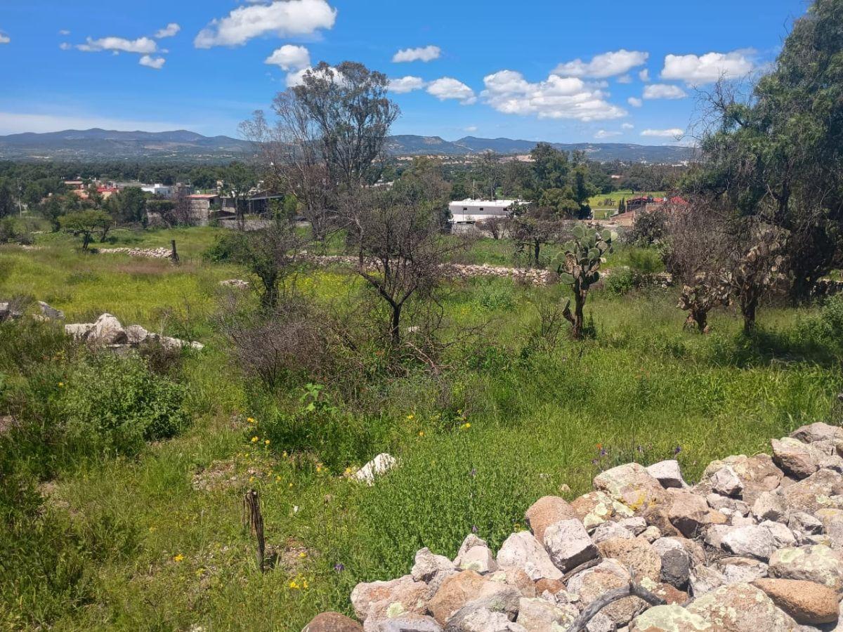 Great Investment Opportunity in San José Iturbide – 255 m&sup2;