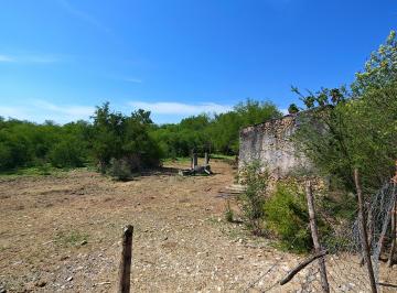 Terreno / Lote , Montemorelos · Terreno 24 Ha Los Ebanos Montemorelos