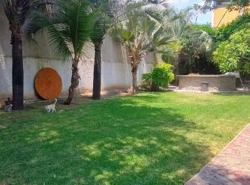 Casa · 1000m² · 2 Recámaras · 10 Estacionamientos · Renta de Casa de un Piso, Amplio Jardin, Ideal Para Negocio