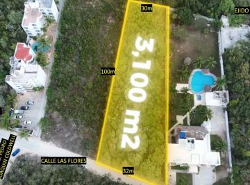 Terreno / Lote , Benito Juárez · Cancun Terreno en Vena 3100 m²