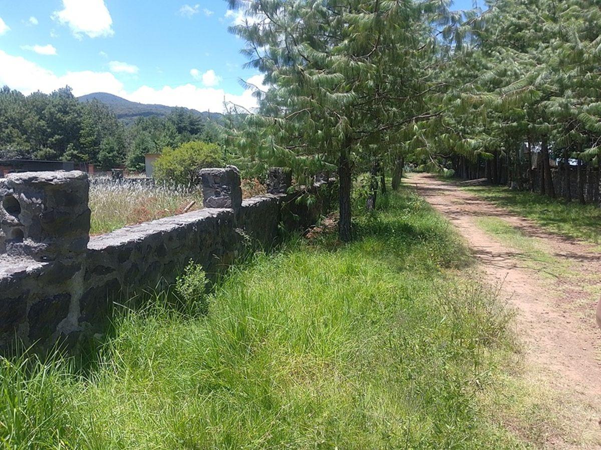 Land for Sale at Rancho San Francisco Huasca
