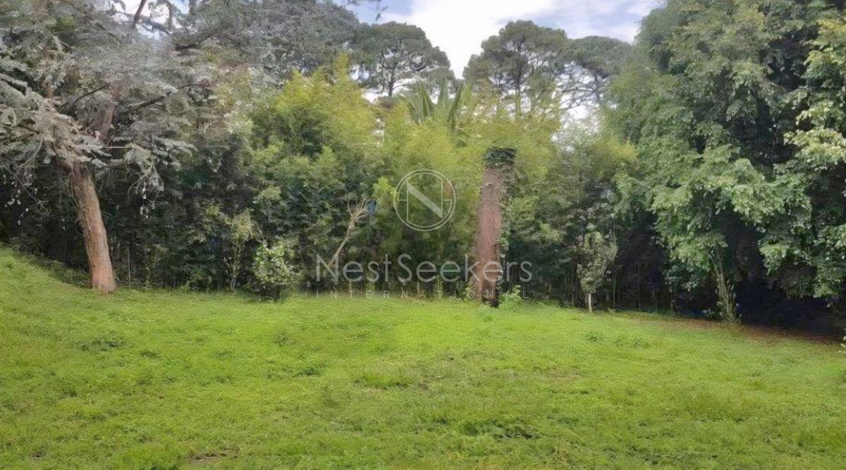 Terreno en Venta en El Centro de Avandaro