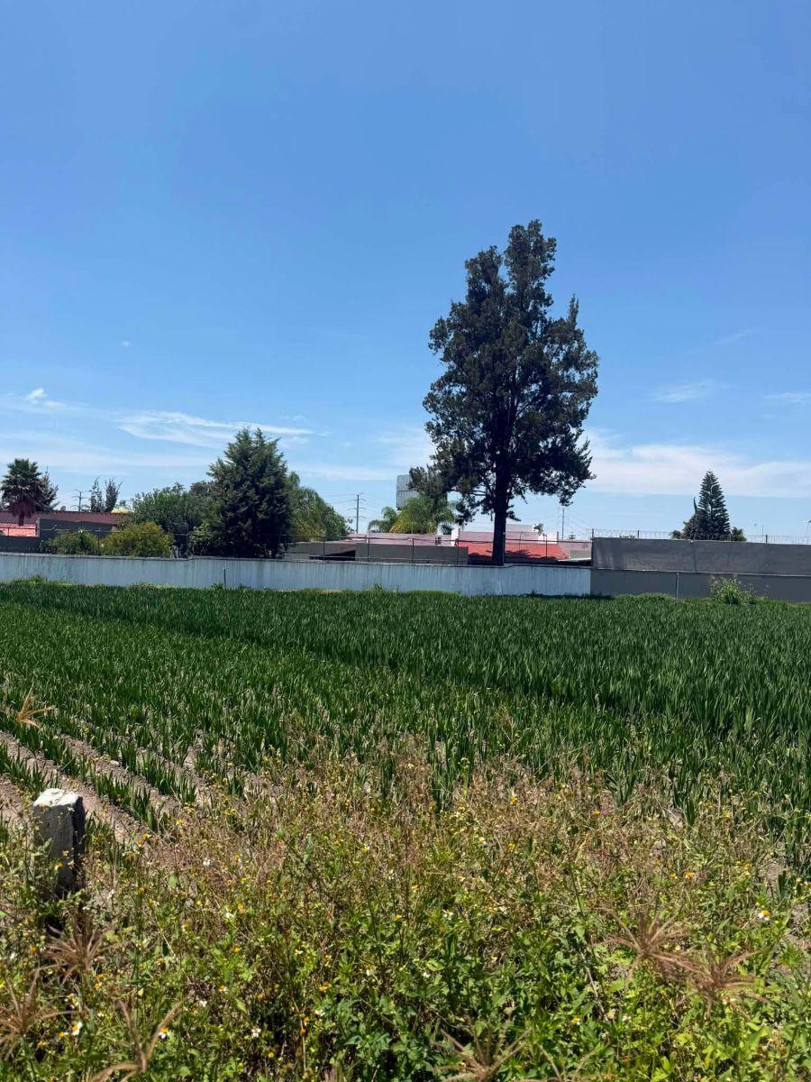 Terreno Rustico Atlicxco Zona Cristo Grande