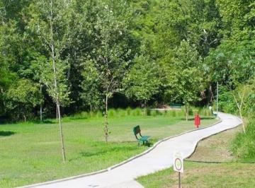 Terreno / Lote · 250m² · Terreno en Venta en Alamo Sur