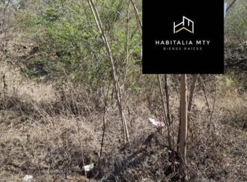 Terreno / Lote · 263m² · Terreno en Venta en Alamo Sur