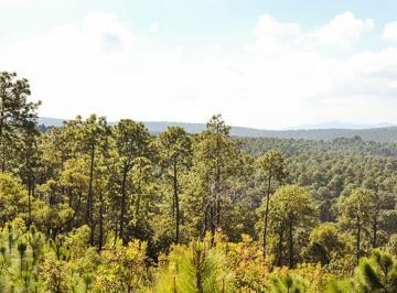 Terreno / Lote , Tapalpa · Terrenos Campestres de Ensueño en Tapalpa. Bosques de La Cañada. Plusvalía y Naturaleza