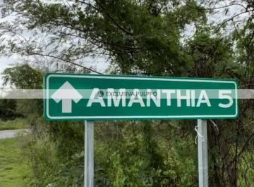 1000278472.jpg · Amanthia Residencial: Terreno Residencial en Venta en Pueblo Yaxkukul