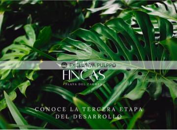 1000278579.jpg · Casa Venta Cancun: Terreno Residencial en Venta en Campestre