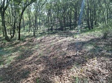 Terreno / Lote · 1775m² · Venta de Terreno en Fracc. Campestre Lt. 57, Villa del Carbón